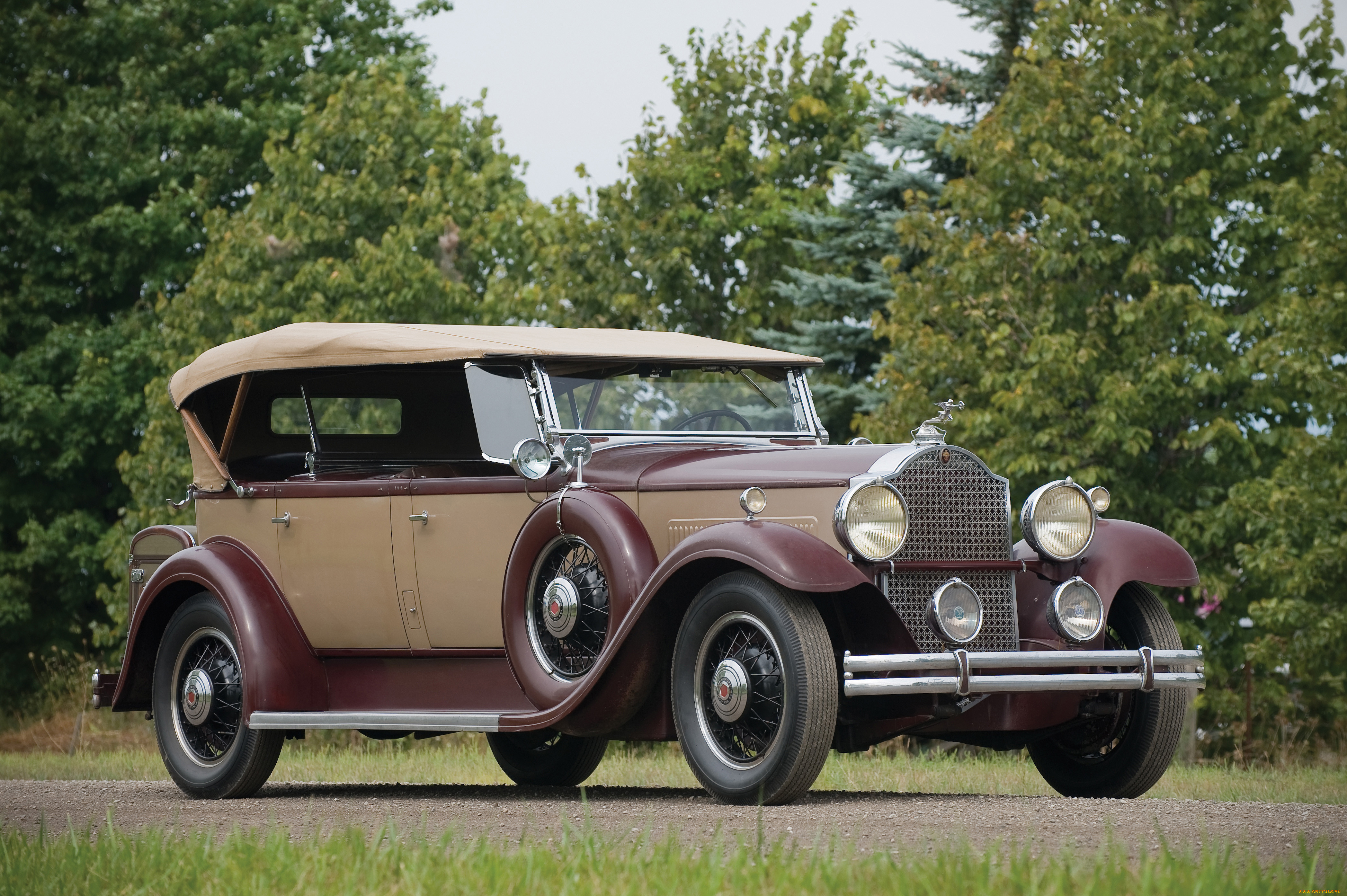 ����������, packard